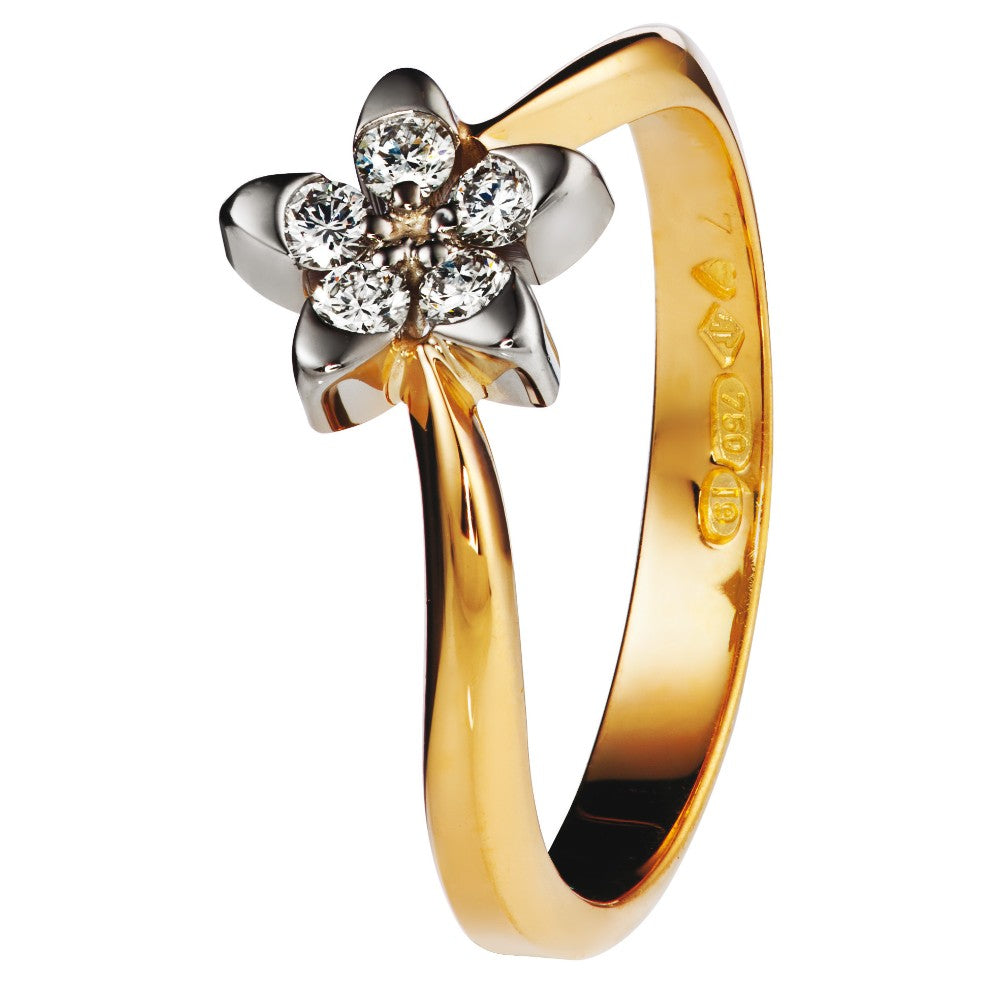 Tillander Black Label keltakultainen Kevyt Vuokko vihkisormus