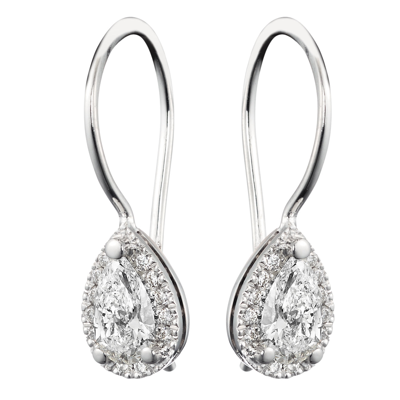 BLACK LABEL PISARA HALO